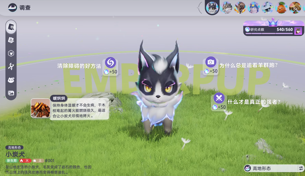 小炭犬 高地形态