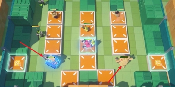 放置阿全和纸壳