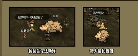 饥困荒野猪人使用手册