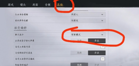 聊天显示设置界面