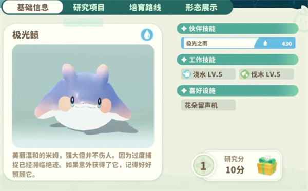 极光鲼约会组合