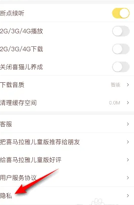 隐私设置