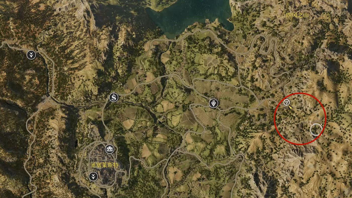 圣徒卡标识位置