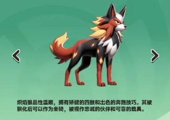 全紫队阵容示意图