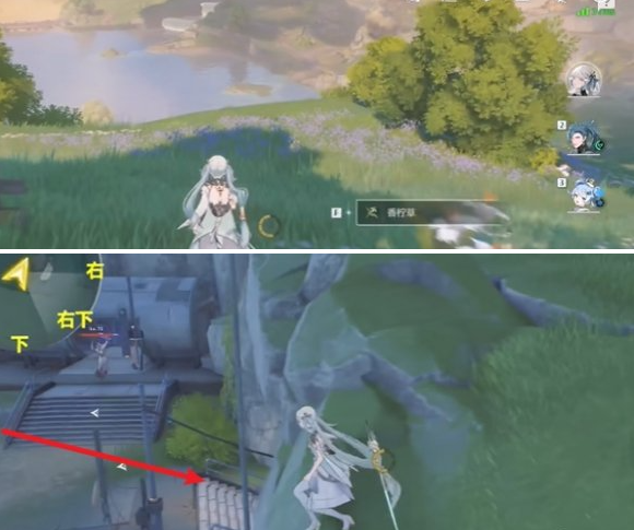 洞穴入口位置示意图