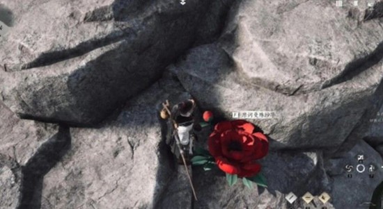 采集曼殊沙华操作界面