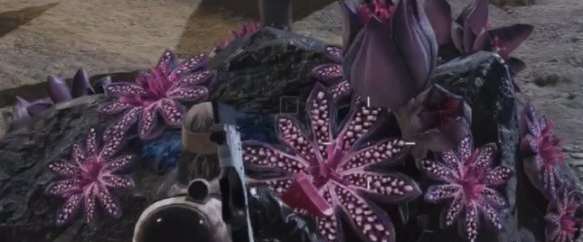 芽孢原矿分布图