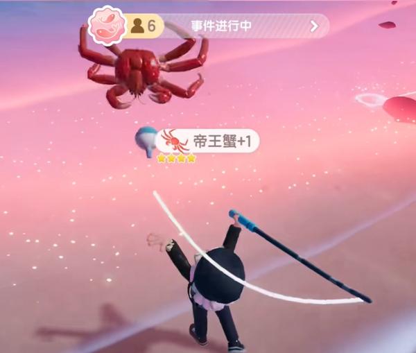 鲸鱼海钓点分布