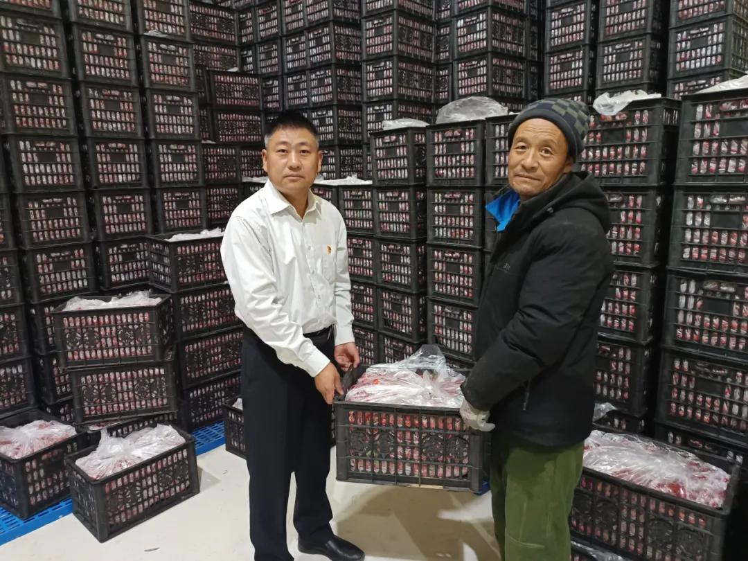 山东移动助力乡村振兴,打造数智农业新画卷