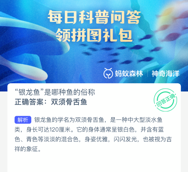 银龙鱼