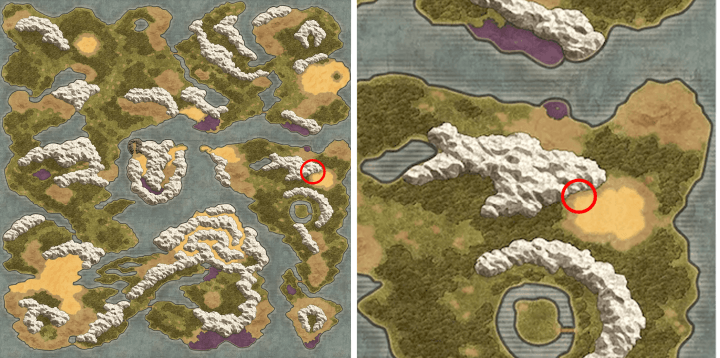 沙漠棕榈树位置