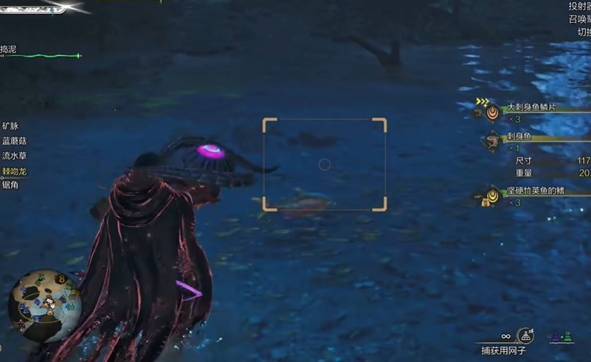 水潭捕鱼示意图