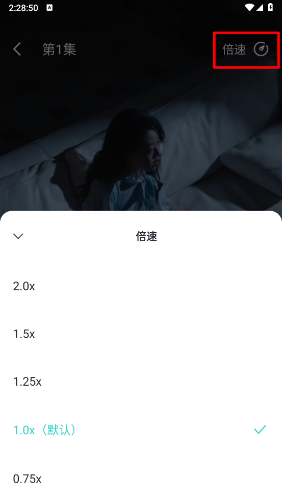 播放设置界面