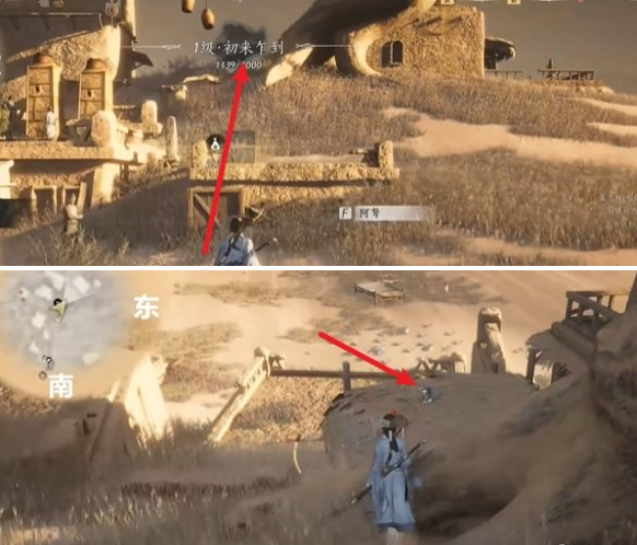 枯树下猫咪位置