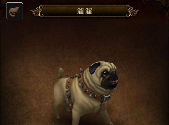 宠物获取