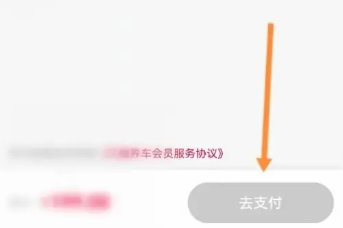 第三步：点击去支付