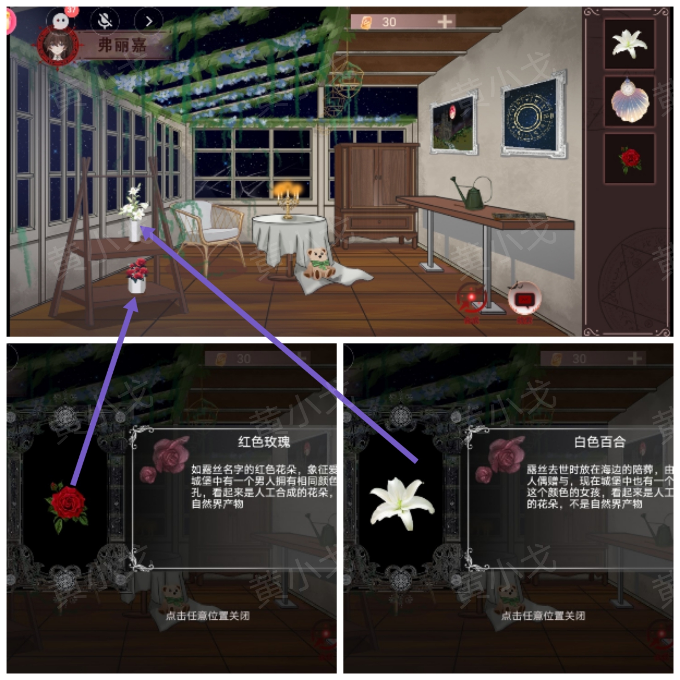 植物获取示意图