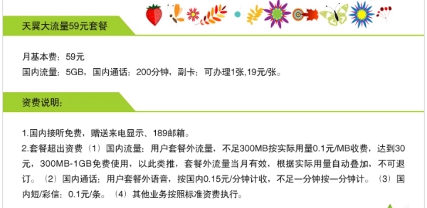 电信59元套餐有多少流量?59元套餐都包括什么-赫兹号卡网-赫兹通讯