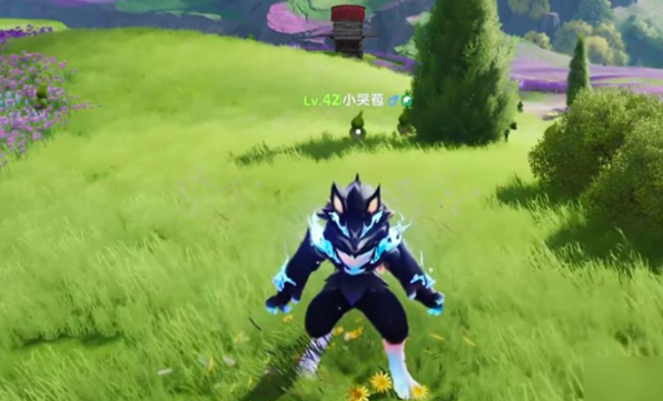 区域分布示意图