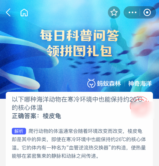 神奇海洋2025年5月20日答案解析：棱皮龟的恒温奥秘-景澄手游网