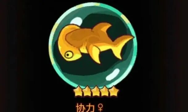 双协力金鱼效果图