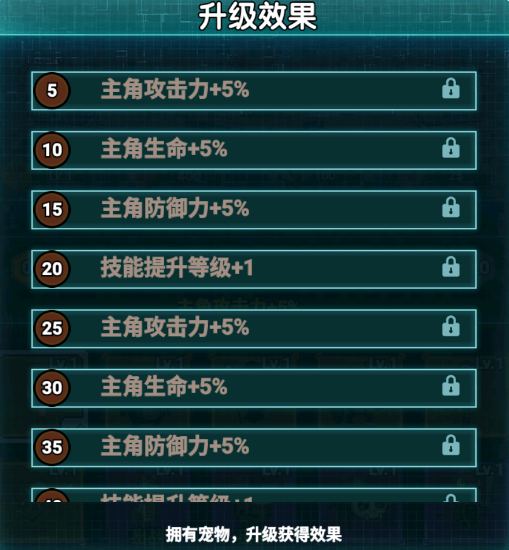 宠物升级效果