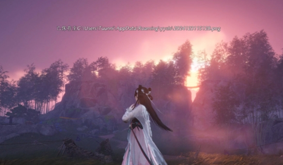 文件管理器查看选项示例