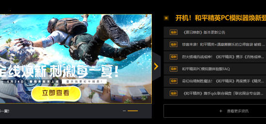 游戏资料页面示意图