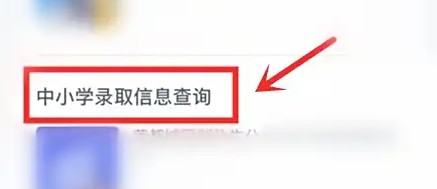 查询功能入口界面