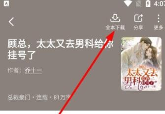 下载界面展示