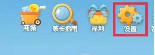 进入设置