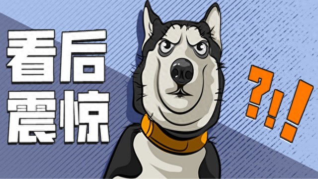 流量卡无真假之分,需选适合用途的正规卡或物联卡-赫兹号卡网-赫兹通讯