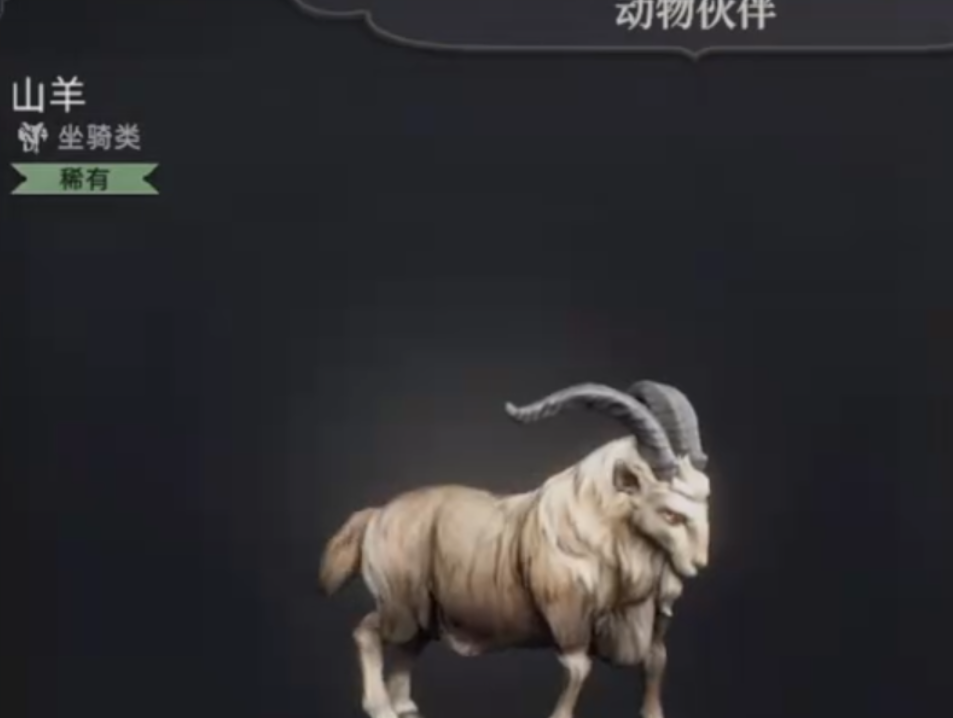 库亚塔