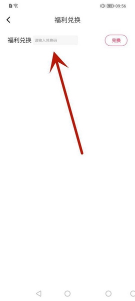 输入兑换码