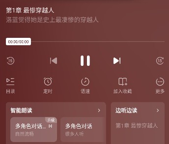 播放页面示意图
