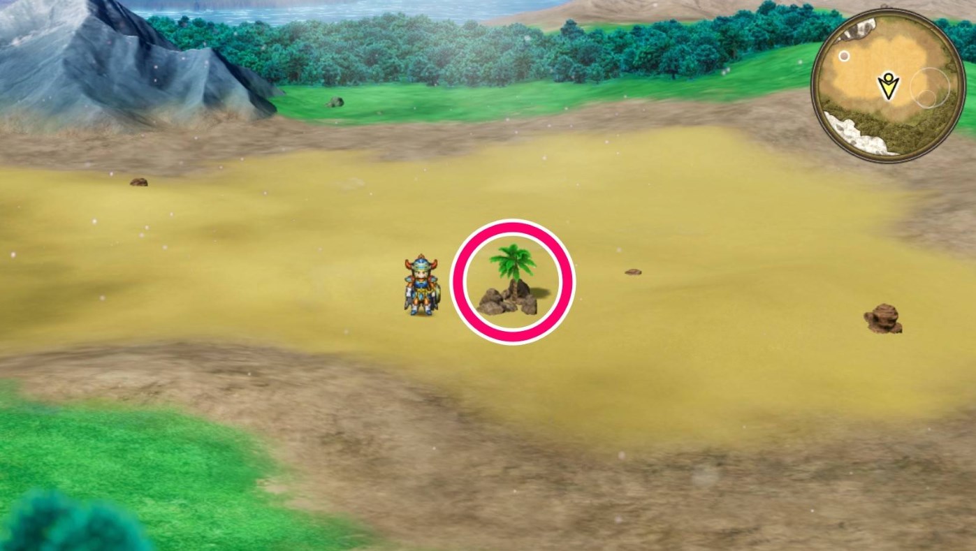 椰子树与石头位置