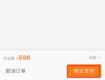 积分支付按钮