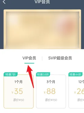 会员开通界面