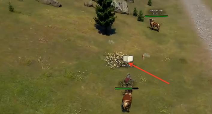 黄色水仙花位置