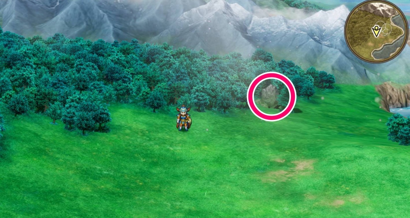 森林区域具体点位