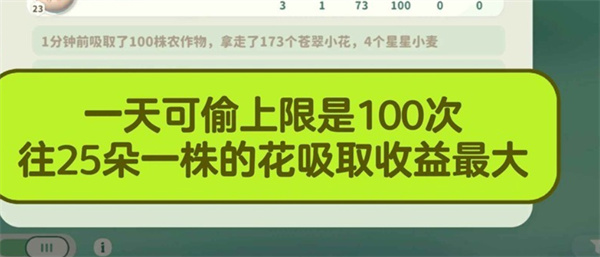 未祝福花朵示意图