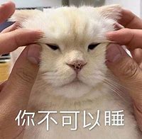 高价值昵称设计案例