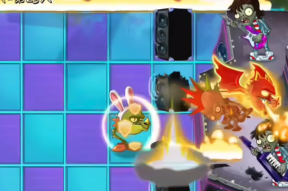 火龙草基础形态