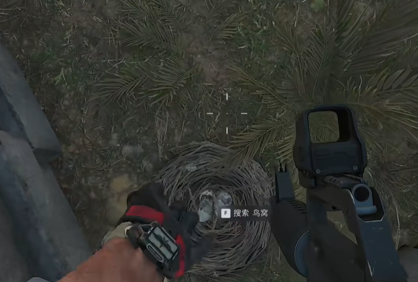 撤离点附近鸟窝位置