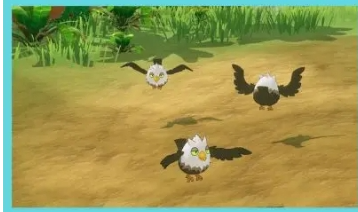 口袋新旅途颓颓鹰捕捉全攻略|飞行系幻兽的精准制胜法