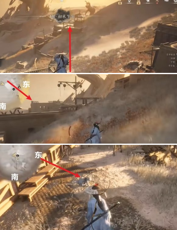 隐蔽处猫戏位置