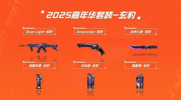 玄豹套装外观示意图