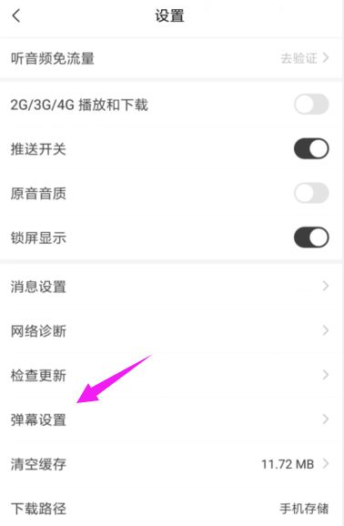 弹幕设置界面示例
