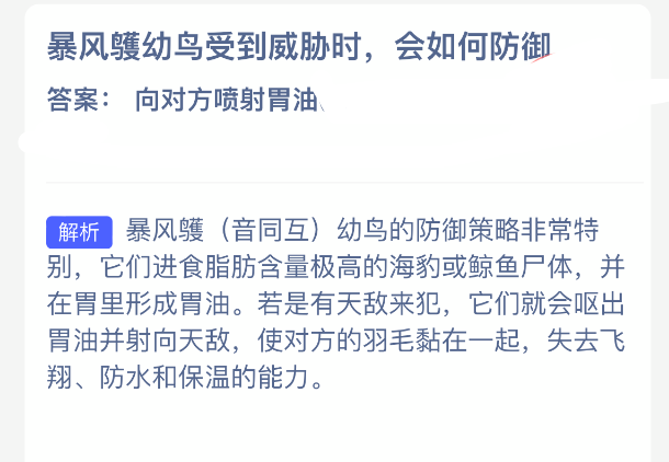 神奇海洋今日答案：暴风鹱幼鸟的防御绝招-景澄手游网