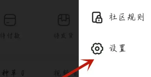 设置入口